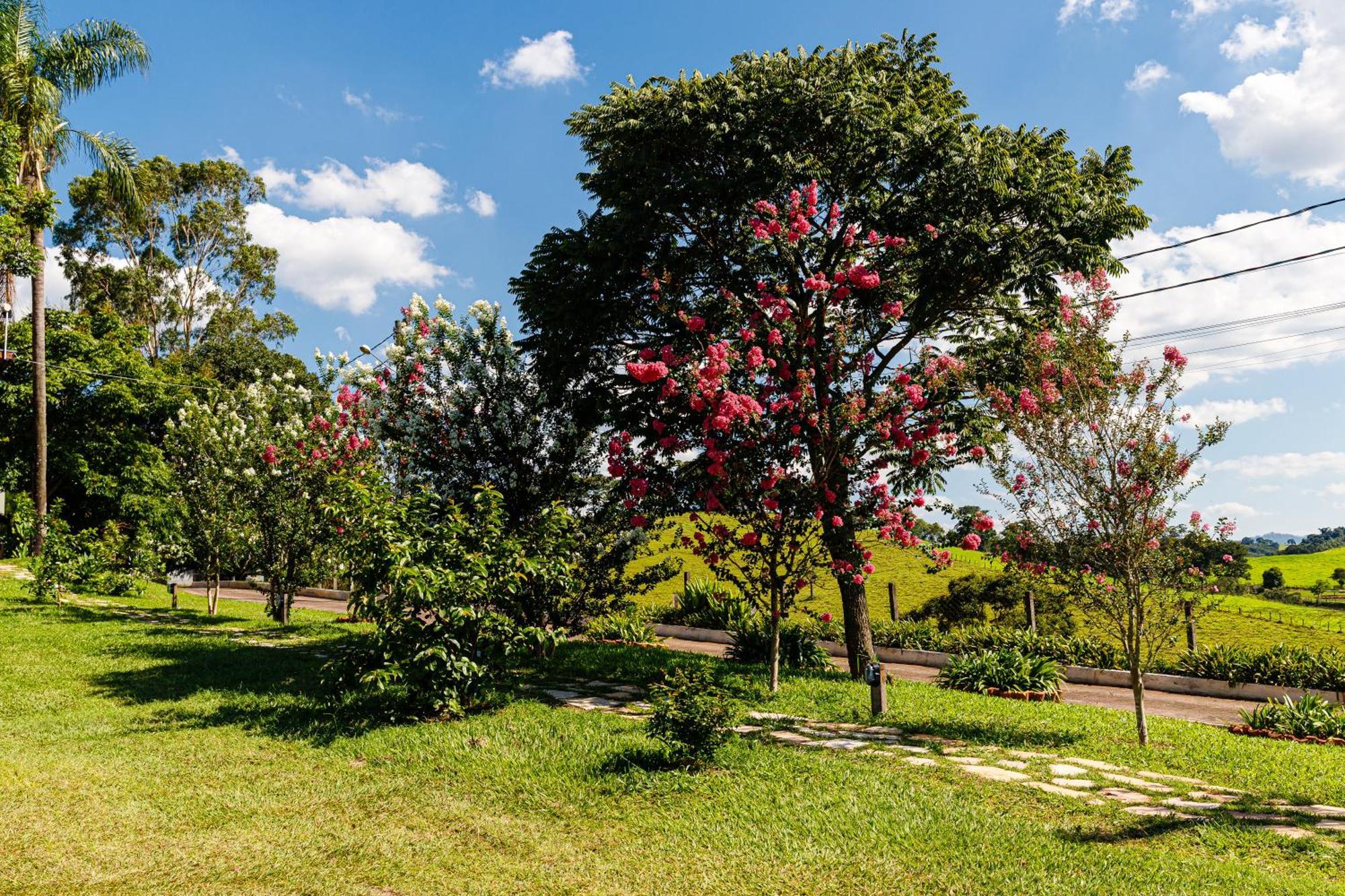 Hotel Morro De Santo Agostinho Lindóia المظهر الخارجي الصورة